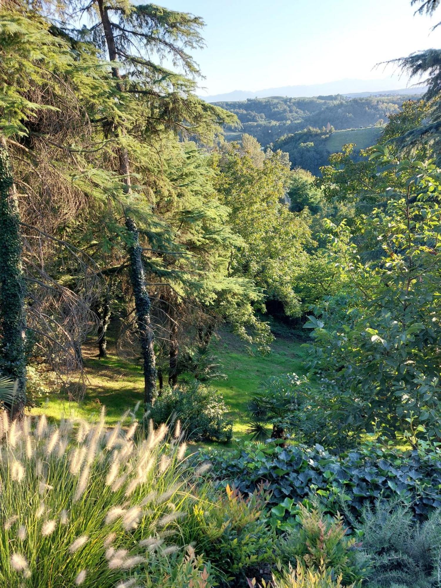 Dimora Roe Διαμέρισμα Monticello d'Alba Εξωτερικό φωτογραφία