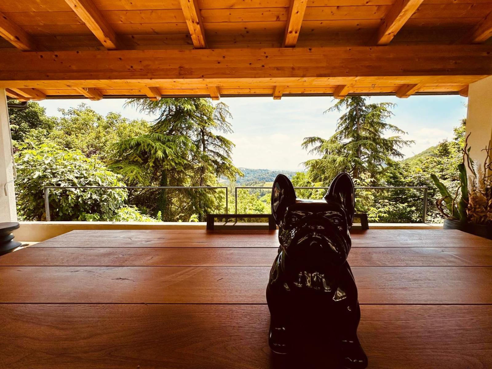 Dimora Roe Διαμέρισμα Monticello d'Alba Εξωτερικό φωτογραφία