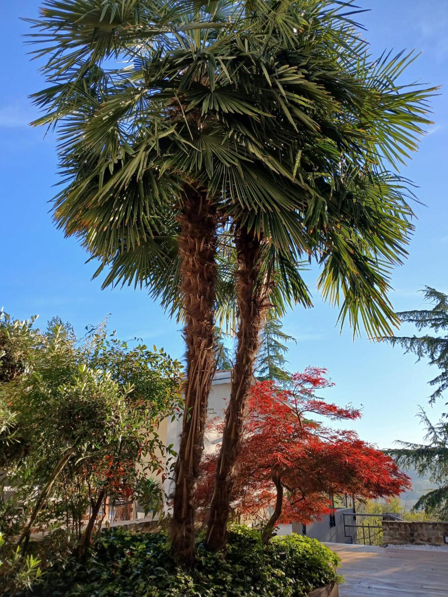 Dimora Roe Διαμέρισμα Monticello d'Alba Εξωτερικό φωτογραφία